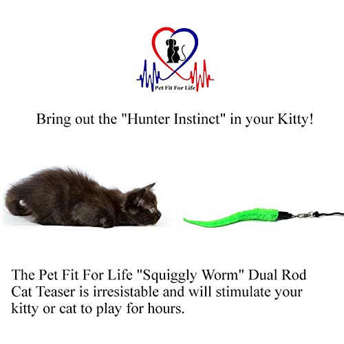 Pet Fit For Life 5 Piece Worms Teaser and Exerciser for Cat and Kitten - Cat Toy Interactive Cat Wand