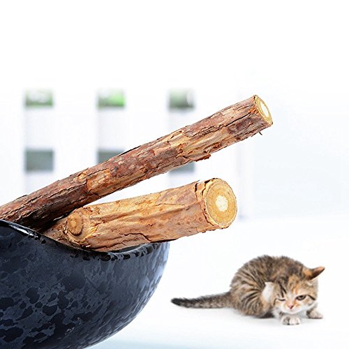 WoLover Silvervine Sticks for Cats, Natural Catnip Sticks Matatabi Chew Sticks Teeth Molar Chew Toys for Cat Kitten Kitty (12 PCS)