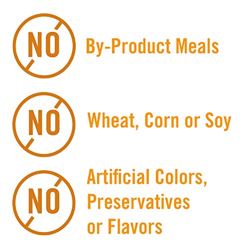 Chicken Soup for The Soul Weight & Mature Care Dry Cat Food, Chicken & Brown Rice Recipe 4.5 lb. Bag | Soy Free, Corn Free, Wheat Free | Dry Cat Food Made with Real Ingredients