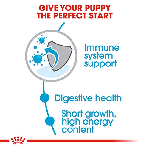Royal Canin Medium Puppy Dry Dog Food, 6 pounds.