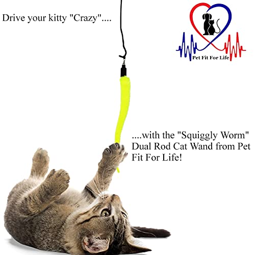 Pet Fit For Life 5 Piece Worms Teaser and Exerciser for Cat and Kitten - Cat Toy Interactive Cat Wand