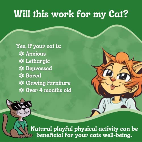 Cat Weed Catnip has Maximum Potency Premium Blend Nip That Your Cats to Go Crazy Over (1 Cup)