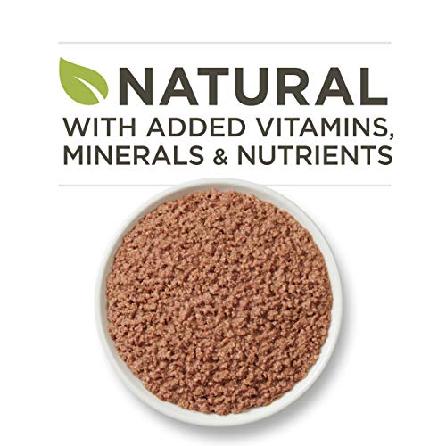 Purina ONE Natural, High Protein, Grain Free Pate Wet Cat Food, Beef Recipe - (24) 3 oz. Pull-Top Cans