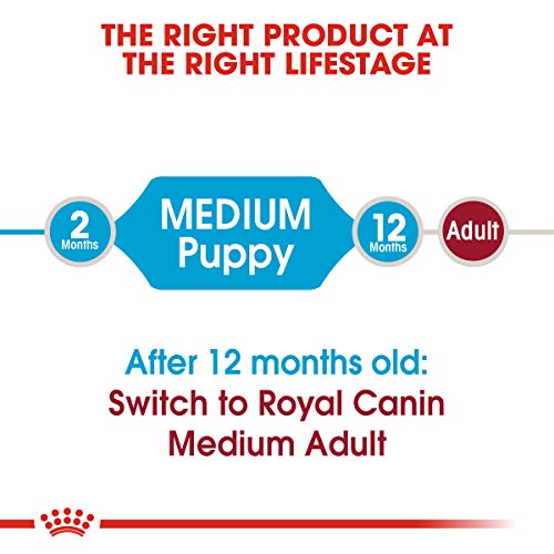 Royal Canin Medium Puppy Dry Dog Food, 6 pounds.