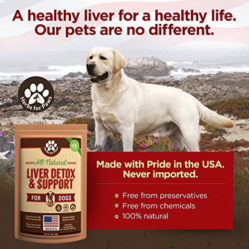 Dog Liver Detox Support, Milk Thistle for Dogs (120 GMS), Canine and cat Liver Support Powder Supplement Without Capsules, Pills - 4oz Bag