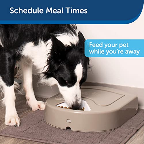 PetSafe 5 Meal Automatic Dog and Cat Feeder, Dispenses Dog Food or Cat Food, Digital Clock