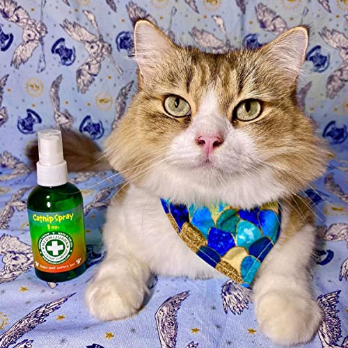 Meowijuana | Premium Catnip Spray | Organic | High Potency | Use On Cat Toys, Teasers, and Scratchers | Grown in The USA | Feline & Cat Lover Approved | 3 oz. Bottle