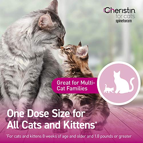 Cheristin for Cats Topical Flea Treatment and Prevention - Long Lasting, Fast Acting and Easy Application Cat Flea Treatment, 6 Monthly Doses