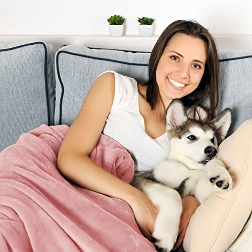 Waterproof Pet Blanket-50x 60 Soft Plush Throw Protects Couch, Chairs, Car, Bed from Spills, Stains, or Pet Fur-Machine Washable by Petmaker (Pink)