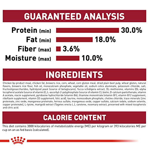 Royal Canin Medium Puppy Dry Dog Food, 6 pounds.