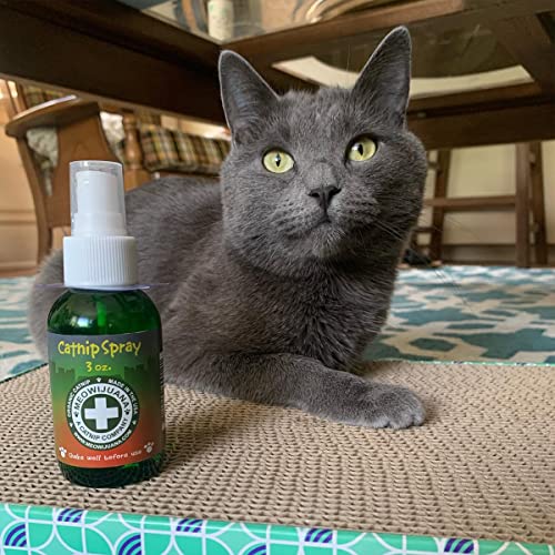 Meowijuana | Premium Catnip Spray | Organic | High Potency | Use On Cat Toys, Teasers, and Scratchers | Grown in The USA | Feline & Cat Lover Approved | 3 oz. Bottle