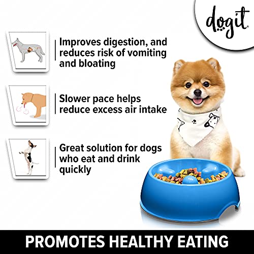 Dogit Go Slow Anti-Gulping Dog Dish, Slow Feeding Dog Bowl Suitable for Wet or Dry Food, Small, Blue