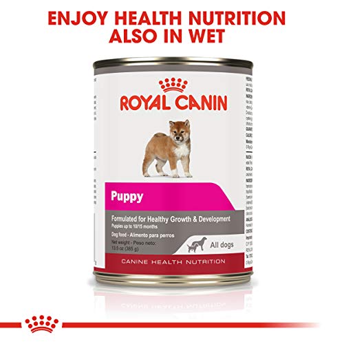 Royal Canin Medium Puppy Dry Dog Food, 6 pounds.