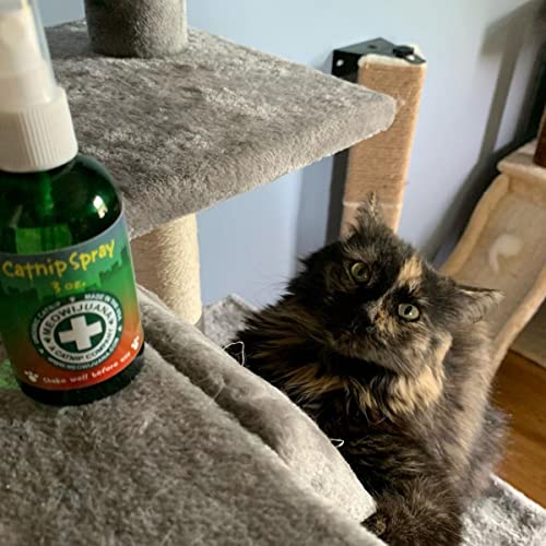 Meowijuana | Premium Catnip Spray | Organic | High Potency | Use On Cat Toys, Teasers, and Scratchers | Grown in The USA | Feline & Cat Lover Approved | 3 oz. Bottle