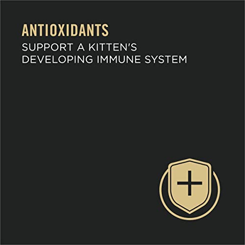 Purina Pro Plan Wet Kitten Food, FOCUS Flaked Ocean Whitefish & Tuna Entree - (24) 3 oz. Pull-Top Cans