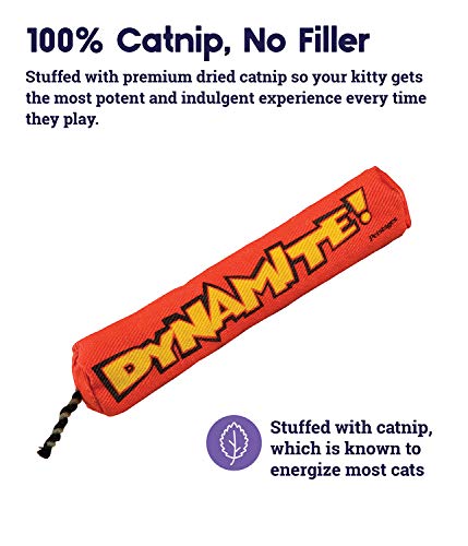 Petstages Green Magic Dynamite Catnip Cat Energizing Toy