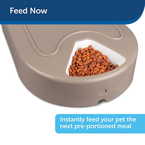 PetSafe 5 Meal Automatic Dog and Cat Feeder, Dispenses Dog Food or Cat Food, Digital Clock