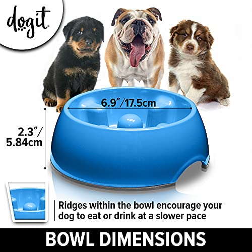 Dogit Go Slow Anti-Gulping Dog Dish, Slow Feeding Dog Bowl Suitable for Wet or Dry Food, Small, Blue