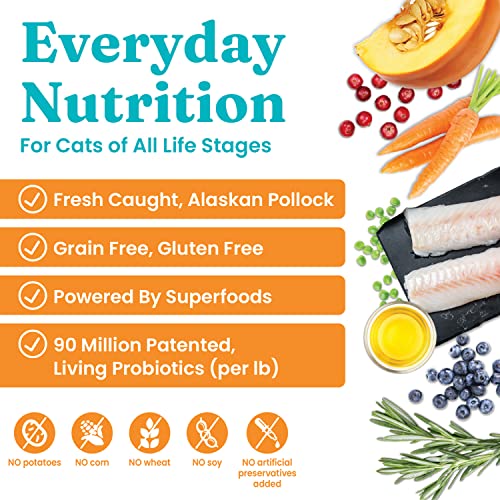 Solid Gold - Indigo Moon with Real Alaskan Pollock & Eggs - High Protein - Grain-Free - Holistic Dry Cat Food for All Life Stages - 3 Lbs