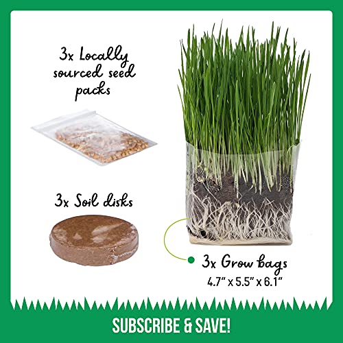 Compostable Cat Grass Grow Bag Kit, 3 Pack, All Organic, Just add Water. Made in The USA