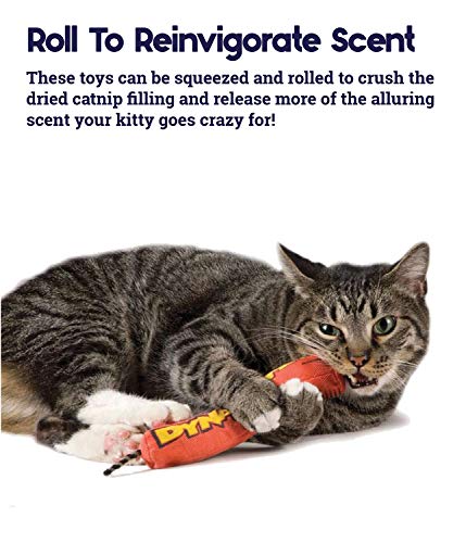 Petstages Green Magic Dynamite Catnip Cat Energizing Toy