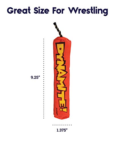 Petstages Green Magic Dynamite Catnip Cat Energizing Toy