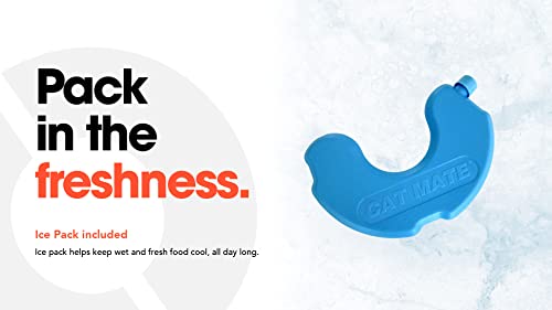 Cat Mate C300 Automatic 3 Meal Pet Feeder with Digital Timer for Cats and Small Dogs