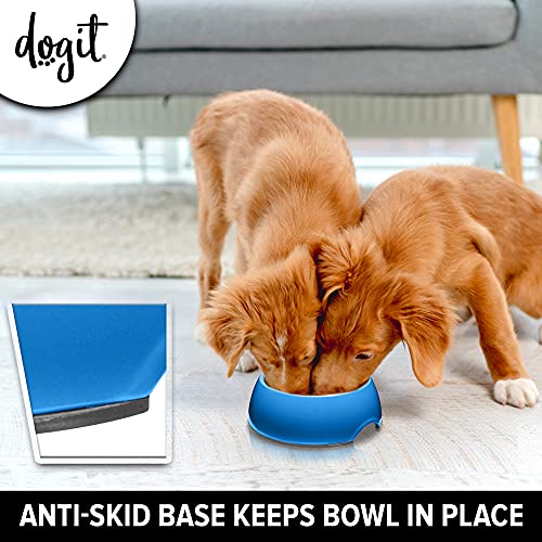 Dogit Go Slow Anti-Gulping Dog Dish, Slow Feeding Dog Bowl Suitable for Wet or Dry Food, Small, Blue