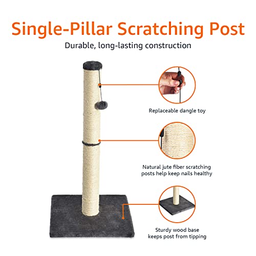 AmazonBasics Medium Cat Scratching Post - 16 x 16 x 32 Inches, Gray