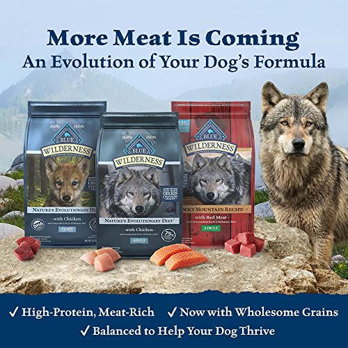Blue Buffalo Wilderness High Protein Grain Free, Natural Adult Dry Dog Food, Chicken 24-lb
