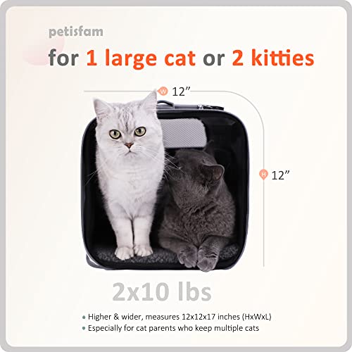 petisfam Large Cat Carrier Designed Especially for Sensitive Cats