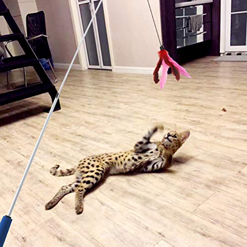Cat Toys Interactive Cat Feather Wand, Kitten Toys 2pcs Retractable Cat Wand Toy & 7pcs Natural Feather Teaser Replacements with Bell, Telescopic Cat Fishing Pole Toy for Indoor Kitty Old Cat Exercise