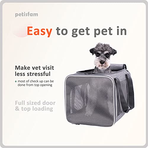 petisfam Large Cat Carrier Designed Especially for Sensitive Cats