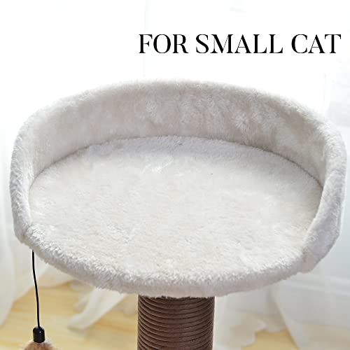 Catry, Cat Tree Hammock Bed with Natural Paper Rope Scratching Posts and Teasing Feather for Kitten (Version 2)
