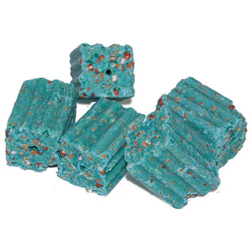 JT Eaton 704-PN Bait Block Rodenticide Anticoagulant Bait, Peanut Butter Flavor, For Mice and Rats (Pail of 64)