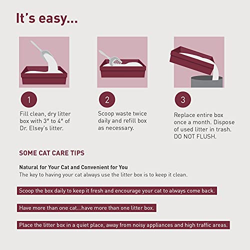 Precious Cat Classic Premium Clumping Cat Litter, 18 pound bag