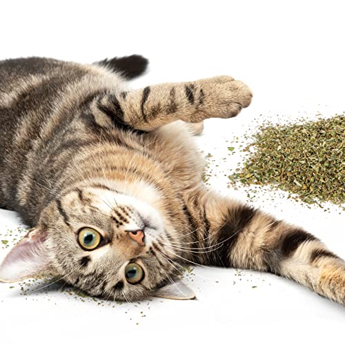 SmartyKat Organic Catnip, 1 oz