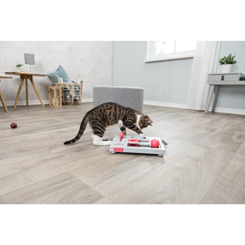 Trixie Pet Products Brain Mover Toy