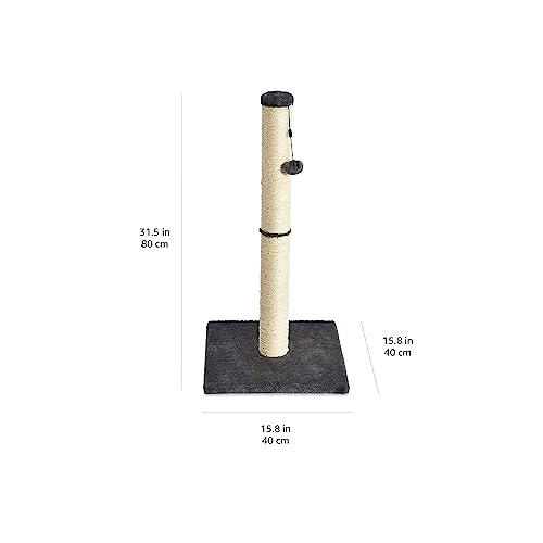 AmazonBasics Medium Cat Scratching Post - 16 x 16 x 32 Inches, Gray