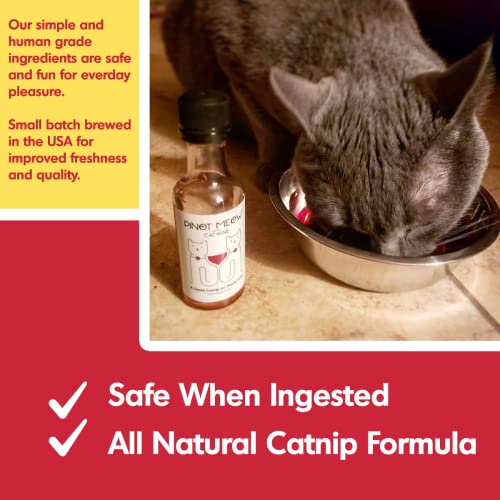 Cat Wine Pawty Pack Catnip Wine CatWine Set for Cats & Kittens