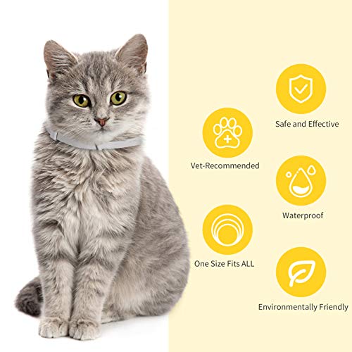 MONIPGU Flea and Tick Collar for Cats,2 Pack,Natural Flea and Tick Prevention for Cats,8 Months Protection,One Size Fits All Cats,Adjustable & Waterproof,Include Flea Comb