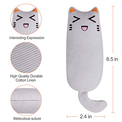 Bojafa 3 Pack Catnip Toys for Indoor Cats Playing Chewing Teeth Cleaning Toys - Creative Pillow Scratch Pet Cat nip Kitty Toys