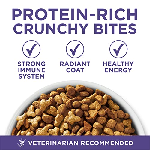 Purina ONE Natural Dry Cat Food, Hairball Formula - 3.5 lb. Bag