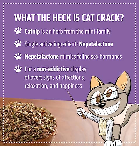 Cat Crack Organic Catnip, Premium Safe Nip Blend, Infused with Maximum Potency Your Kitty Will be Sure to Go Crazy for (1 Cup)