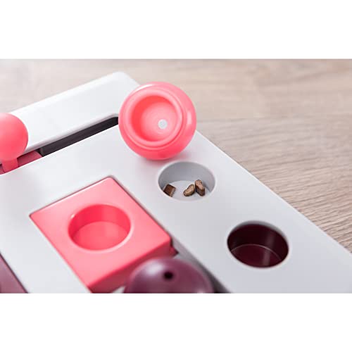 Trixie Pet Products Brain Mover Toy