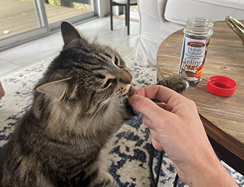 Bench and Field Cat Treat Holistic NTRL