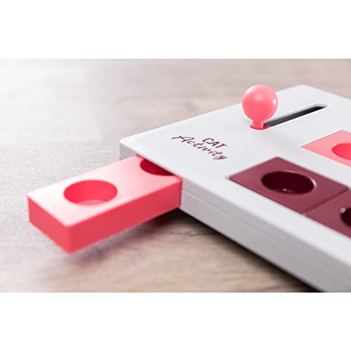 Trixie Pet Products Brain Mover Toy