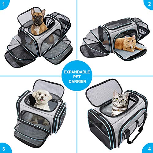 MASKEYON Airline Approved Pet Carrier, Large Soft Sided Pet Travel TSA Carrier 4 Sides Expandable Cat Collapsible Carrier with Removable Fleece Pad and Pockets for Cats Dogs and Small Animals