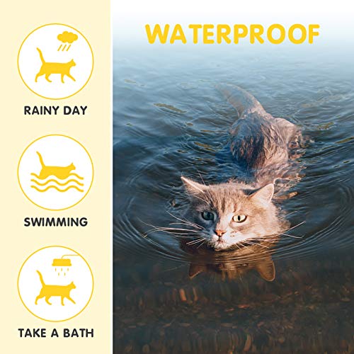 MONIPGU Flea and Tick Collar for Cats,2 Pack,Natural Flea and Tick Prevention for Cats,8 Months Protection,One Size Fits All Cats,Adjustable & Waterproof,Include Flea Comb