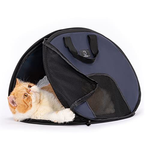 A4Pet Super Lightweight Collapsible Cat Carrier for Travel, 19 x 15 x 13 Inches